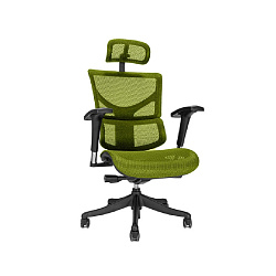 Кресло д/руководителя Ergostyle Sail, спинка-сетка, сиденье-сетка,цвет зеленый