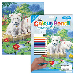 Набор для творчества "Щенки у пруда",  цветными карандашами 