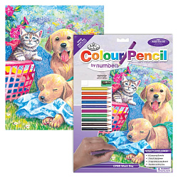 Набор для творчества "День стирки",  цветными карандашами 