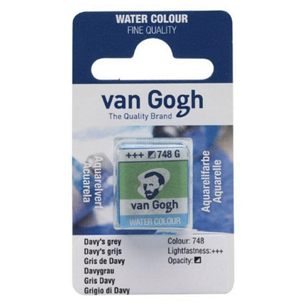 Краски акварельные "Van Gogh" 748 серый дэви, кювета