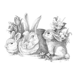 Набор для творчества "Кролики", большой, картины по номерам карандашами