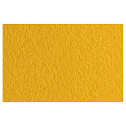 Бумага для пастели "Tiziano" 50*65 см, 160 г/м2, оранжевый