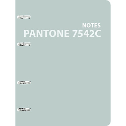 Тетрадь А5 120 л., клет. "Pantone line. Color '21. No. 1" на кольцах,  обл. карт., мат.ламинация+пантонная печать, голубой