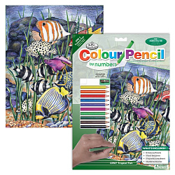 Набор для творчества "Тропические рыбки",  цветными карандашами 