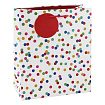 Пакет бумажный подарочный 21,5*10,2*25,3 см "Joyful spots"