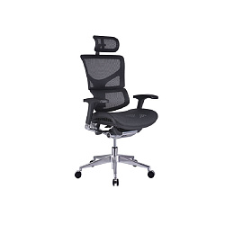 Кресло д/руководителя Ergostyle Sail Aluminium, спинка-сетка, сиденье-сетка,цвет черный