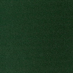 Бумага для пастели "Pastel Card" 50*65 см, 360 г/м2, зеленый темный