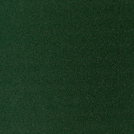 Бумага для пастели "Pastel Card" 50*65 см, 360 г/м2, зеленый темный
