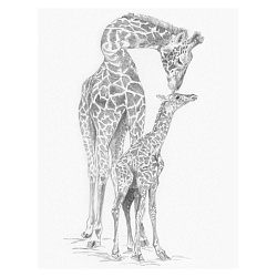 Набор для творчества, 22*29 см "Жираф с малышом", картины по номерам карандашами