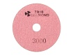 Алмазный гибкий шлифкруг ""Черепашка"" 100 № 3000 (мокрая шл.) (Trio-Diamond)
