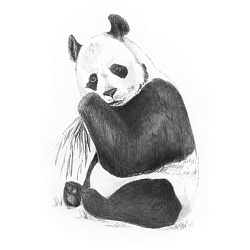 Набор для творчества "Панда", мини, картины по номерам карандашами