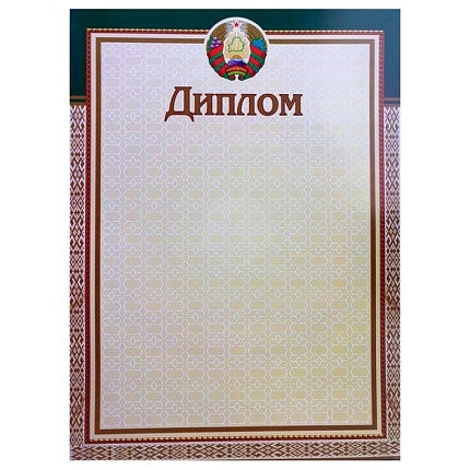 Диплом без степени 13С319