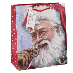 Пакет бумажный подарочный 21,5*10,2*25,3 см "Trad Santa" ассорти