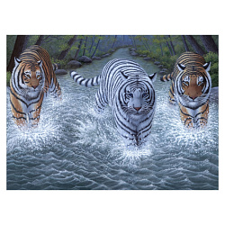 Набор для творчества, 28*39 см "Три тигра", картины по номерам