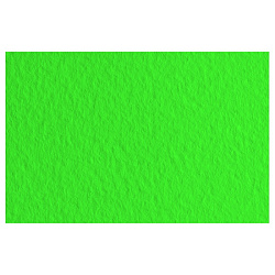 Бумага для пастели "Tiziano" А4, 160 г/м2, зеленый