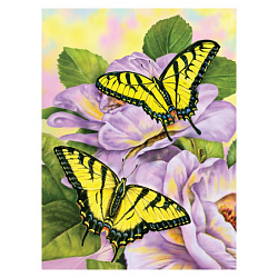 Набор для творчества, 22*29 см "Бабочки-парусники", картины по номерам 
