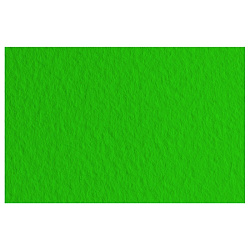 Бумага для пастели "Tiziano" А4, 160 г/м2, зеленый темный